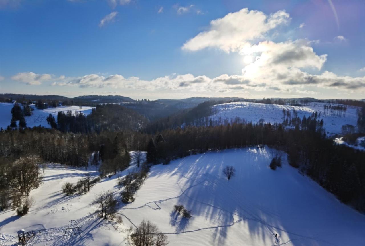 Penthouse Harz-Traum 372 Apartment Hohegeiß Екстериор снимка
