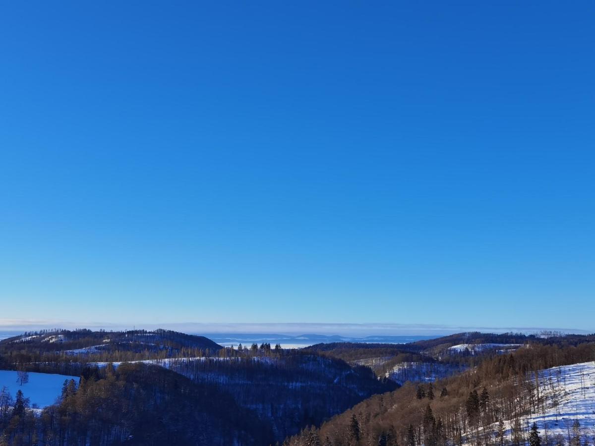 Penthouse Harz-Traum 372 Apartment Hohegeiß Екстериор снимка